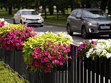 Столичные службы почти выполнили работы по благоустройству участка Ленинского проспекта