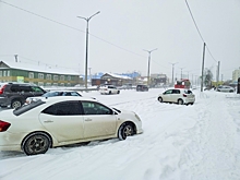 За жалобу на снег УК внесла нижегородку в черный список: мэр вступил в борьбу с ДУК и ТСЖ