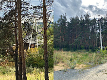 Жители села Патруши боятся пожаров и удара током из-за бесхозной опоры ЛЭП