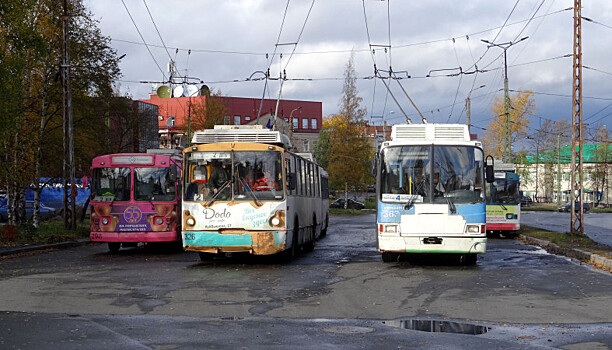 Пассажирка получила травмы в троллейбусе в Петрозаводске