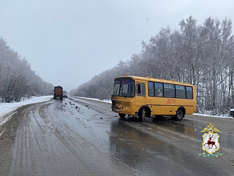 Прокурорская проверка началась после ДТП с автобусом под Богородском