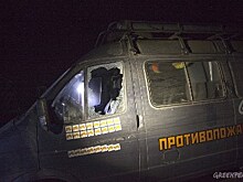 В Адыгее задержали группу избитых активистов «Гринпис»