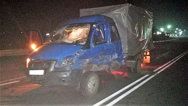 На трассе под Петровском КамАЗ столкнулся с ГАЗелью