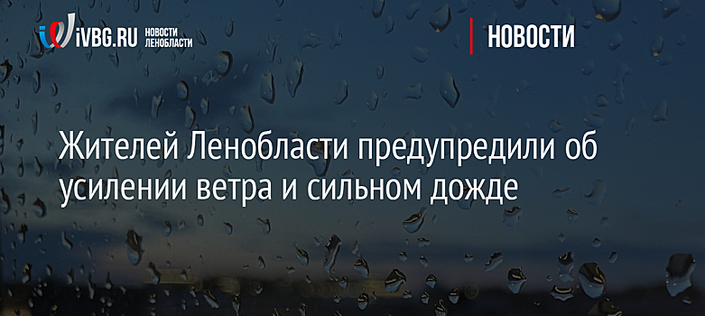 Жителей Ленобласти предупредили об усилении ветра и сильном дожде