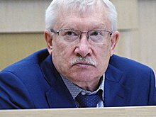 Сенатор о выборах на Украине: Вот увидите, нас ждут большие сюрпризы