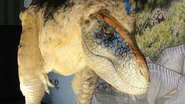 Ученые раскрыли новую способность динозавров