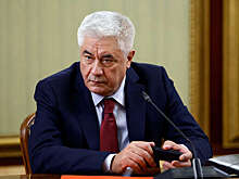 Колокольцев уволил двух офицеров ГУ МВД Москвы за отказ в убежище блогеру из Латвии