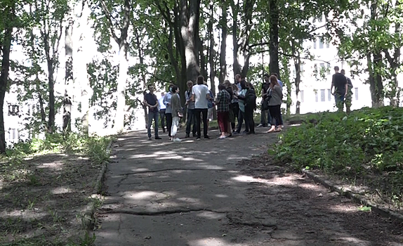 Где в Калининграде не позволят рубить деревья
