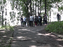 Где в Калининграде не позволят рубить деревья