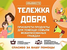 «Тележки добра» помогают детям России