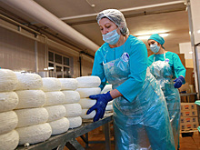 Производители из Адыгеи судятся за самый известный бренд своего региона