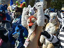 Психолог Невеев: субкультура фурри представляет опасность