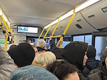 За зиму в Курске автобусы перевезли более 19 млн пассажиров