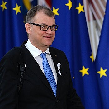 Финляндия сделает все, чтобы Россия осталась в Совете Европы