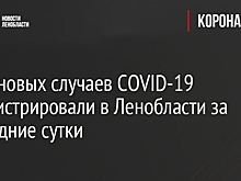 Семь новых случаев COVID-19 зарегистрировали в Ленобласти за последние сутки