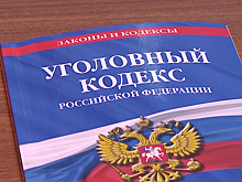 Россиянин получил грант на развитие коневодческой фермы и стал фигурантом уголовного дела