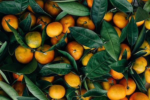 Названы продукты, с которыми нельзя пить лекарства