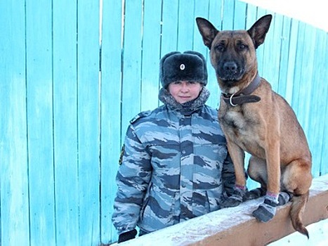 В УФСИН Якутии поступили на службу собаки-клоны из Южной Кореи