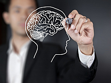 Ученые: как тишина влияет на мозг