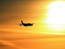 Из России депортировали американку, осужденную за угрозы убийством сожителю