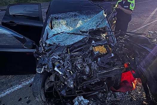 В Татарстане в ДТП погибла ехавшая в отпуск семья из Уфы