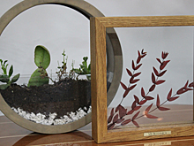 Новая выставка по дизайну состоится в библиотеке № 95 в сентябре