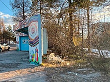 В Якутии за автобусной остановкой обнаружили тело убитой женщины