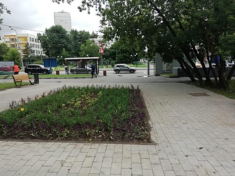 Депутаты Соколиной Горы проинспектируют благоустройство территорий