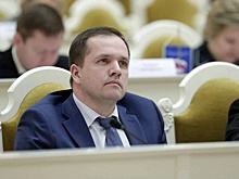 Власти Петербурга собираются восполнить нехватку вакцины от бешенства для кошек и собак