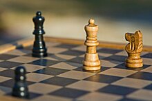 Ученики одной из школ Алтуфьева на уроках физкультуры будут изучать шахматы