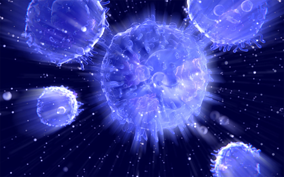 Найден белок, ответственный за «дезертирство» нейтрофилов