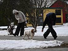 Вероятность скорого выпадения снега в Москве оценили