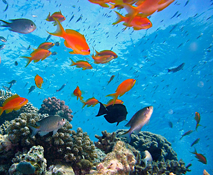 В парке «Краснодар» открылась интерактивная локация «Кроличья нора» — новое зрелищное пространство для горожан и туристов