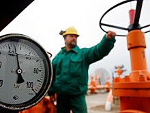 Экс-глава МИД Австрии: ЕС потребуется минимум 6 лет на отказ от газа из России