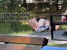 В Благовещенске очевидцы сняли на видео пару, которая занималась сексом в сквере