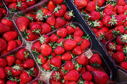 Урожай клубники на Ставрополье вырос на 8%