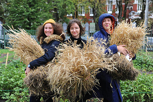 Профильные классы помогают столичным ученикам определиться с профессией