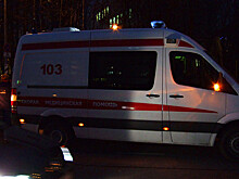 В Подмосковье задержан предполагаемый убийца борца с коррупцией