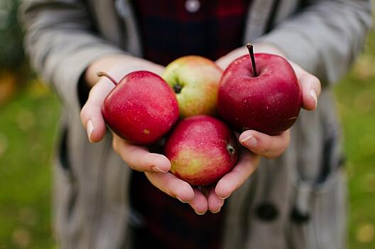 Что сделать с яблоками, чтобы не испортились