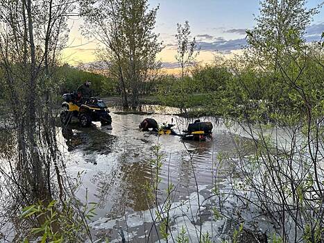 Сын российского депутата чуть не утонул в водоеме