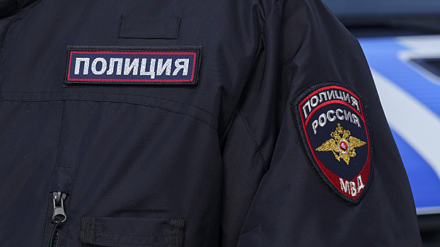 Двое подозреваемых в нападении на юношу у торгового центра в Санкт-Петербурге задержаны полицией