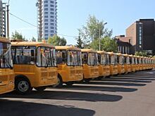 Федерация закупит для Красноярского края 70 школьных автобусов