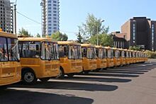 Федерация закупит для Красноярского края 70 школьных автобусов