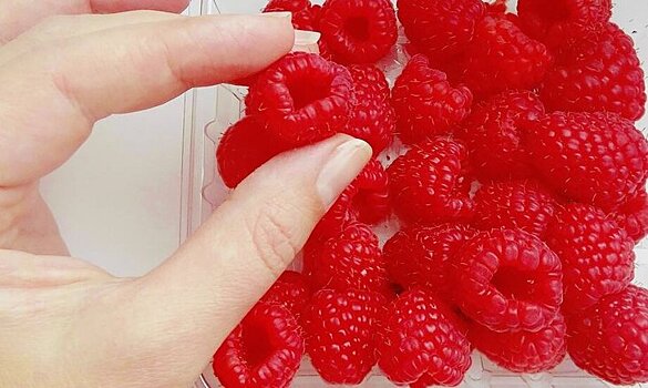 31 проект по плодово-ягодным культурам реализовали липецкие фермеры при грантовой поддержке