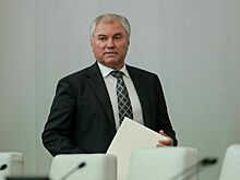 Володин: С 2021 года Госдума приняла 71 закон для развития сельского хозяйства