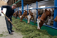 Крупнейший производитель молока &laquo;Эконива&raquo; продаст половину бизнеса