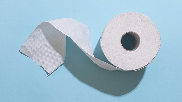 Врач-проктолог сочла незначительным количество слоёв в туалетной бумаге