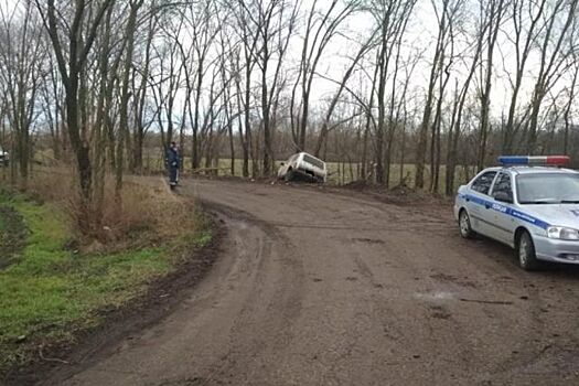 На Кубани пьяный водитель врезался в дерево, пострадали три человека