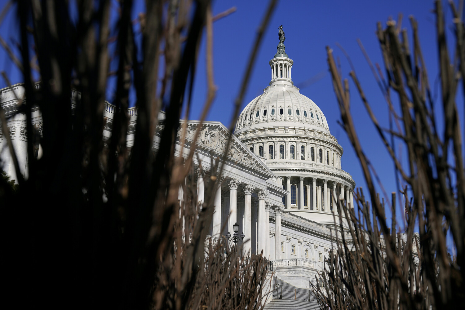 В конгрессе США приняли законопроект, направленный против пропалестинских акций