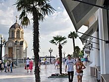 Ялта вошла в тройку популярных курортов для отдыха с детьми на Новый год